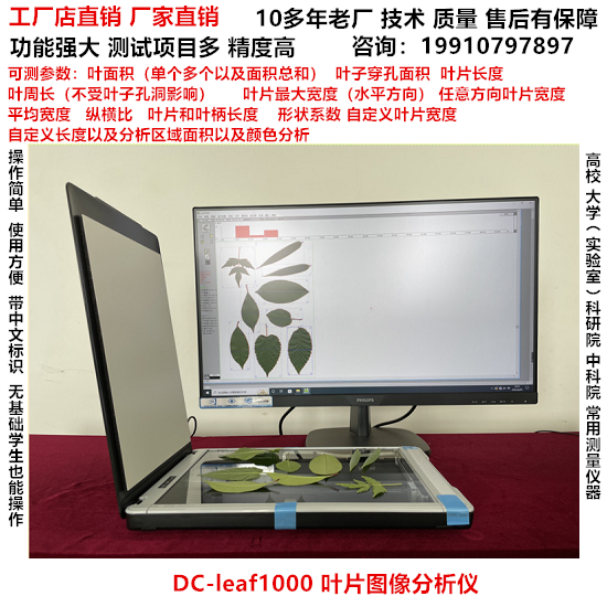 叶面积测定仪测量仪叶面积仪