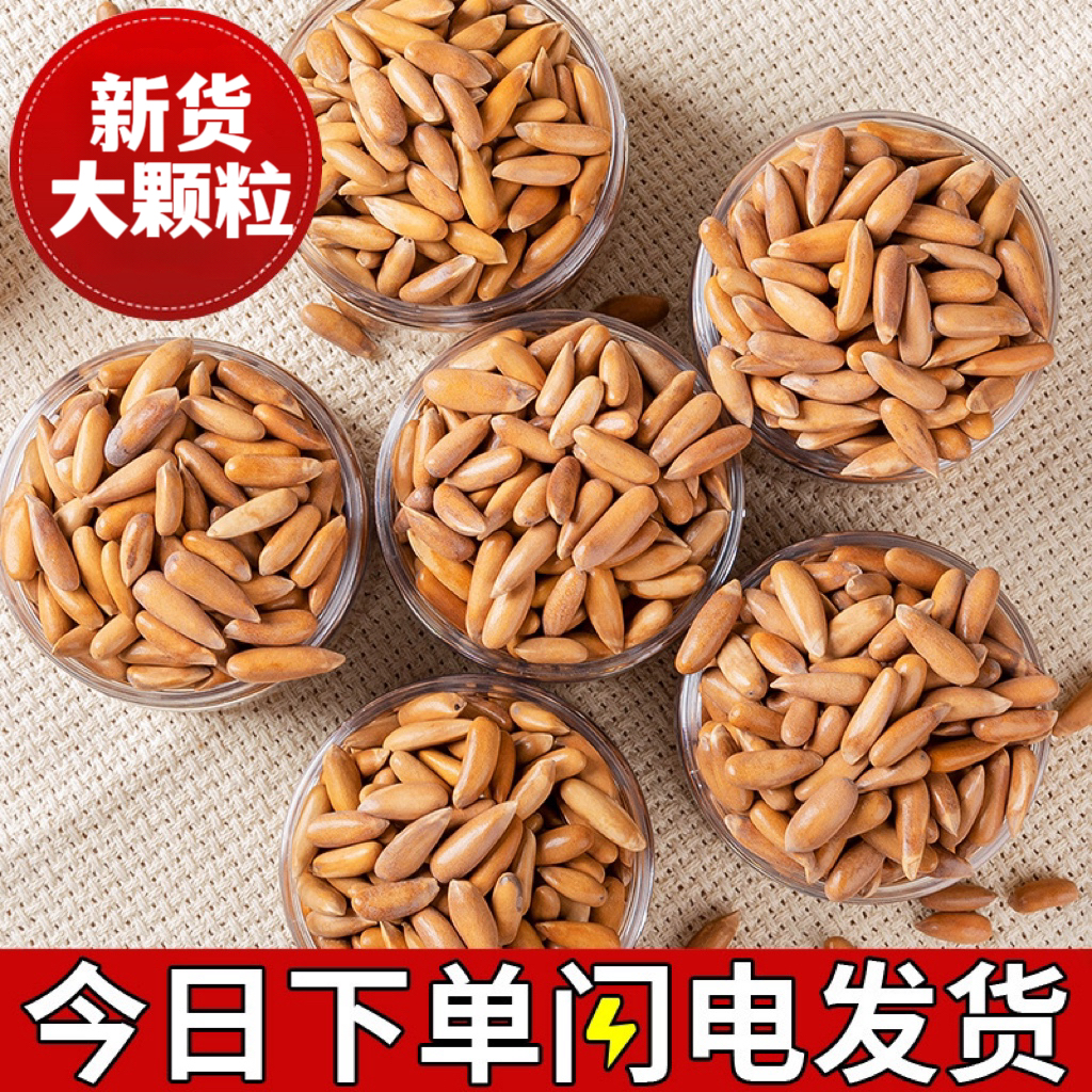 巴西松子罐装500g零食 薄壳易剥原味松子休闲美味 手剥松子坚果