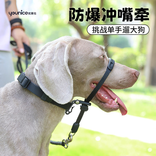近身控制牵引绳嘴牵狗嘴笼训犬防爆冲外出遛狗杜宾金毛马犬大型犬