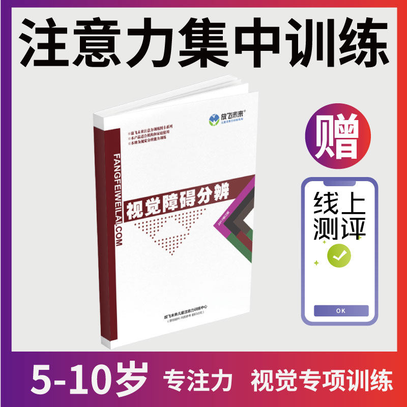 视觉障碍分辨 专注力玩具注意力集中训练 看不懂看错字放飞未来
