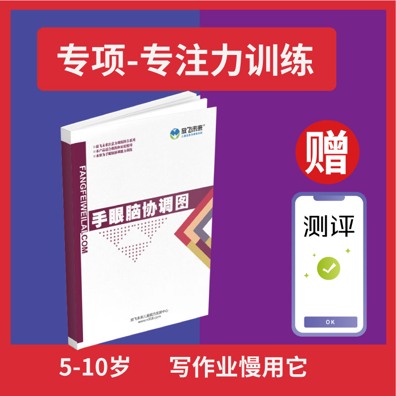 手眼脑协调图 注意力集中专注力训练玩具 教学材料课程特色培训
