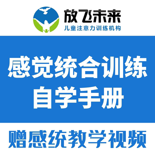 感觉统合触觉本体前庭学习能力 放飞未来儿童感统训练自学手册