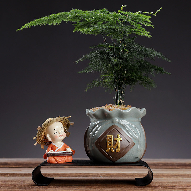 家居绿植盆栽摆件办公室桌面发财树植物小盆景文竹客厅微景观装饰使用感如何?