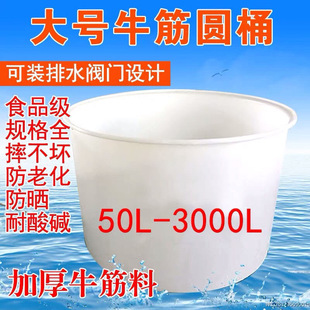 食品级加厚大号牛筋桶带盖塑料桶酿酒发酵桶大容量养殖家用储水桶