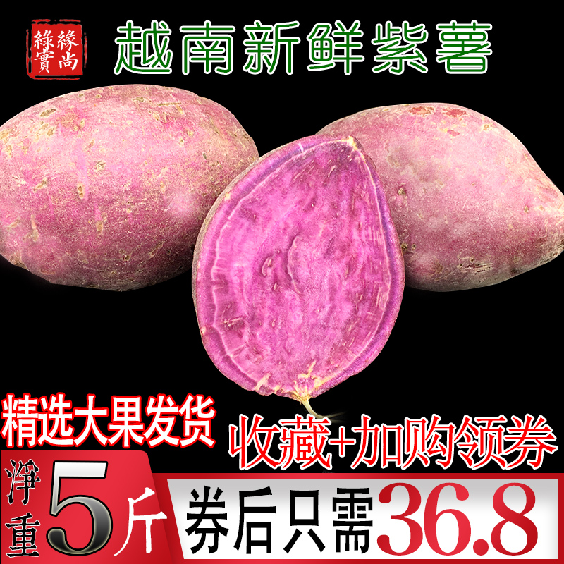 越南紫薯净重5斤 新鲜沙地小红薯现挖大番薯地瓜发10-12个大香薯