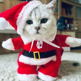 Cat Costumes Funny Winter Claus Pet Santa Clothes Christmas