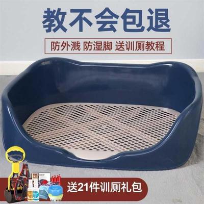 Dogtoilepsurinaydbox