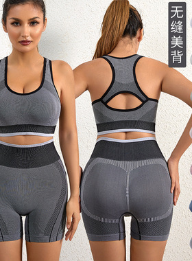 Active Wear Gym Shorts Yoga Wear Fitness Sets For Women