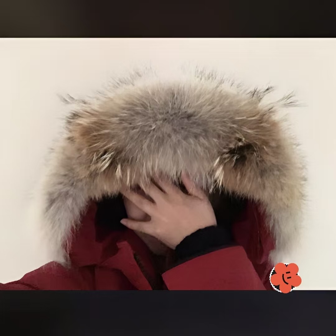 大鹅毛领单卖郊狼毛领远征款无毛领款派克狼毛毛领订做批发真毛领