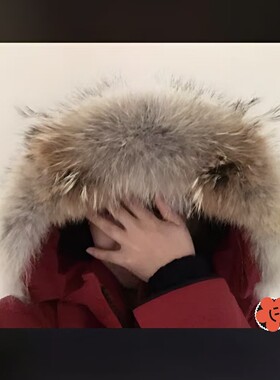 大鹅狼毛领大鹅配件加拿大毛领鹅