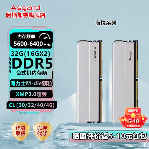 阿斯加特海拉DDR516G台式机内存