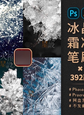 质感冰晶霜冻PS笔刷水晶结晶体Procreate笔触ABR/Brushset素材