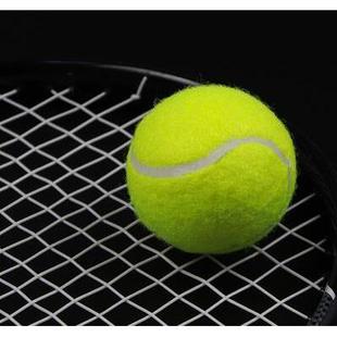 Dog toy ball teddy elastic ball gnarled tennis ball pet