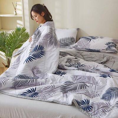 All Season Bedding Comforter Quilt Insert Blanket Duvet Bed
