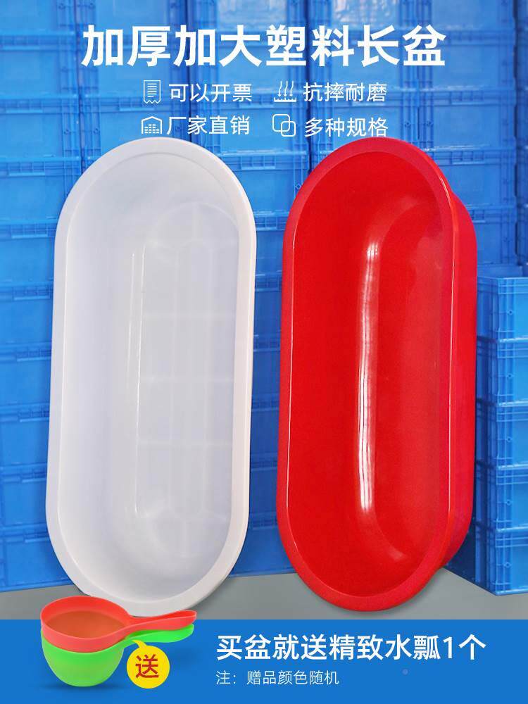 超厚不烂长方形塑料盆红色洗澡盆白色鱼虾土元养殖专用盆洗衣服盆