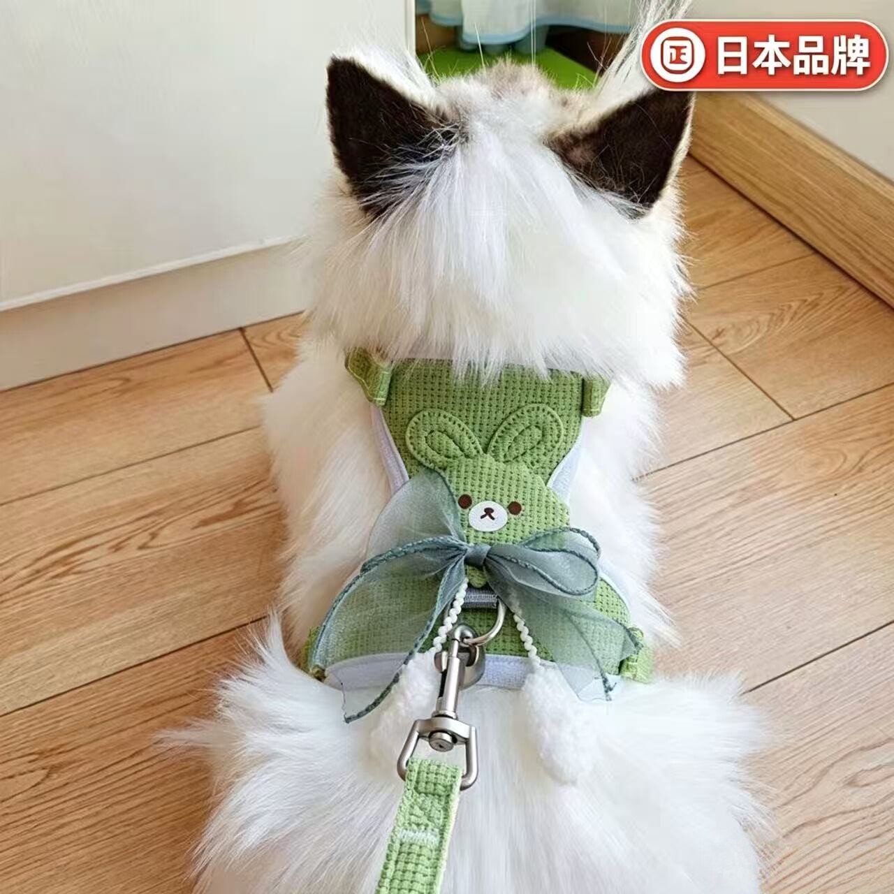 日本可爱兔子蝴蝶结猫咪牵引绳背心式胸背带防挣脱外出遛猫绳