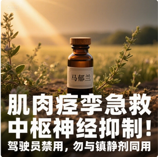 馬郁蘭鎮靜與助眠緩解肌肉與關節疼痛支持呼吸系統健康抗菌與免疫