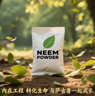 野生有机苦楝新鲜树叶粉 净化冥想 内在工程