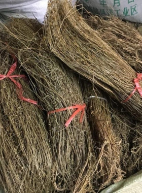 金锁匙潮汕青草药 金锁匙 金钥匙 金花盖顶 蛤爪草 香茹 中药材