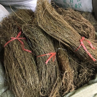 金锁匙潮汕青草药 金锁匙 金钥匙 金花盖顶 蛤爪草 香茹 中药材