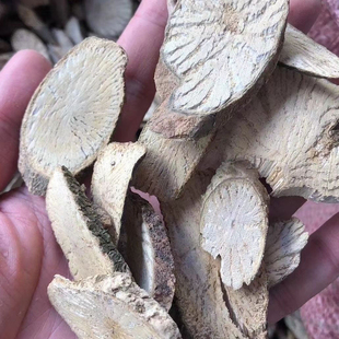 牛白藤干货涂藤头潮汕土藤头野生正宗青风藤甜白碎玉狗头痔中药材