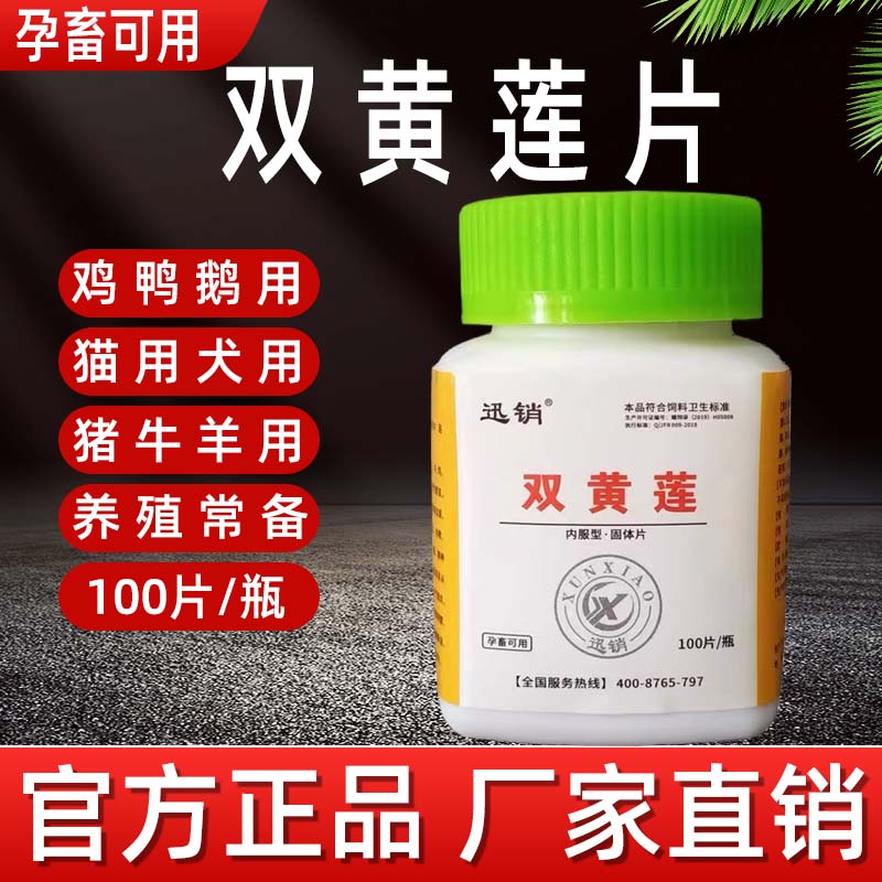 兽用双黄连片宠物狗猫四季鸡用鸭用鹅用猪牛羊用家禽家畜孕畜可用
