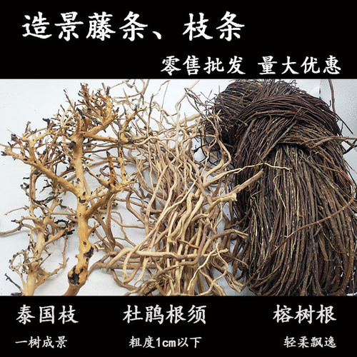 藤条榕树泰国根细巴西鱼缸造景