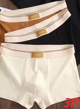3Pcs Men's Underwear Hombre Panties Boxershorts Comfortable
