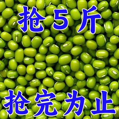【批发】2024东北绿豆小绿豆粥新货绿豆汤糕饼绿豆沙发绿豆芽新鲜
