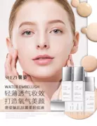 Cơ thể sương mù cơ bắp xa hoa - Nền tảng chất lỏng / Stick Foundation