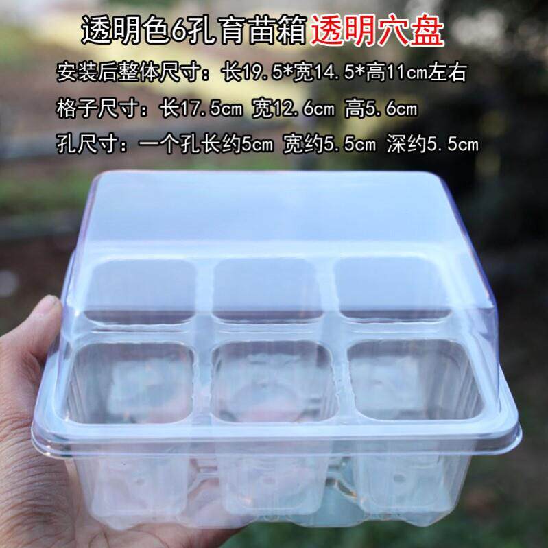 人工手持育苗盘点播器穴盘菜心白菜甘蓝西蓝花菜花小葱播种器