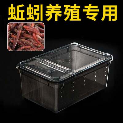 厂家直销装蚯蚓盒子养殖