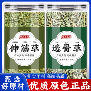 伸筋草透骨草中药材正品新鲜小伸筋草舒筋草的功效与作用新货泡脚
