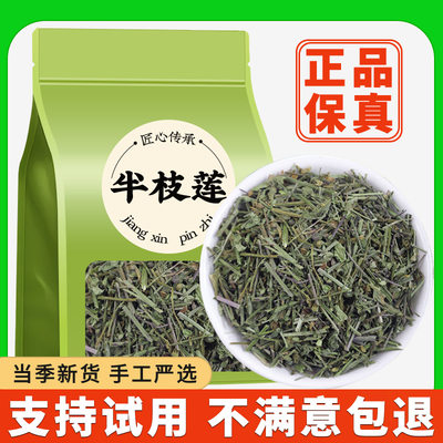 半枝莲中药材草药头茬半枝莲