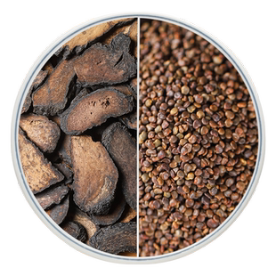 肉苁蓉沙苑子中药材正品肉从容纵容片沙宛子泡酒泡茶水喝组合茶包