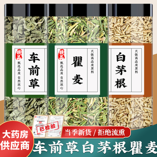车前草白茅根瞿麦中药材正品茅草根甜草根瞿麦茶新货袋泡茶煮水喝