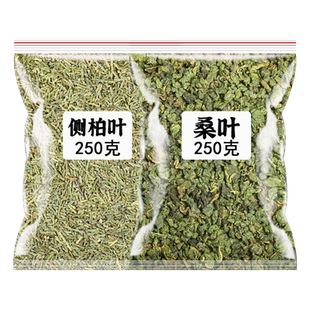 侧柏叶桑白皮当归制何首乌干姜中药材洗发水霜打干桑叶新鲜洗头