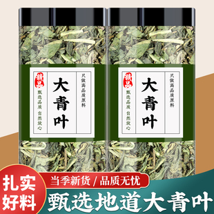 大青叶中药材新鲜大青叶片干货大青叶批发正品大青叶茶功效与作用
