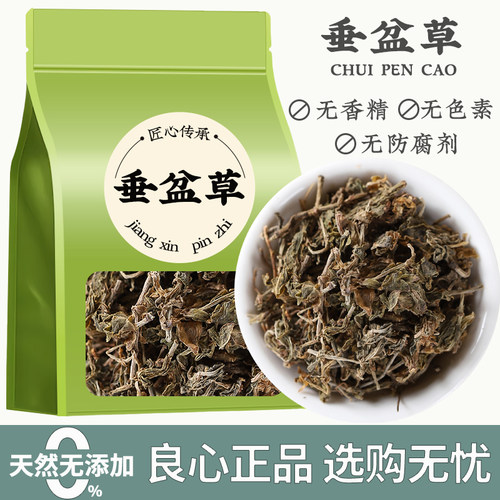 垂盆草中药材正品精选新鲜晒干