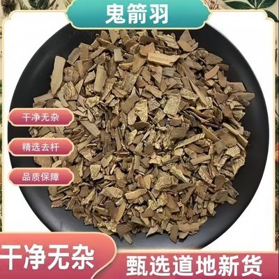鬼箭羽中药材正品精选鬼见愁