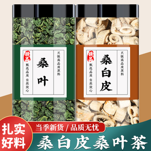 桑叶桑白皮中药材正品煮瘦肉汤的功效新鲜干桑叶粒桑树根皮养生茶