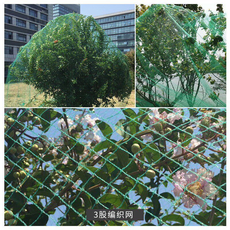 室外瓜果绿植种菜防鸟实用桃树防落叶花卉用的网防护网家用耐用在类目 鲜花速递/花卉仿真/绿植园艺, 园艺用品, 其它园艺用品中 - 来自Buy2taobao.com提供专业的淘宝代购服务