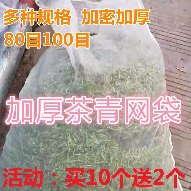 茶青网袋透气加厚尼龙网袋子大号