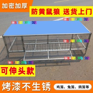 鸡笼养殖笼家用室内铁丝网笼子芦丁防黄鼠狼Q户外特大号铁鸡笼子
