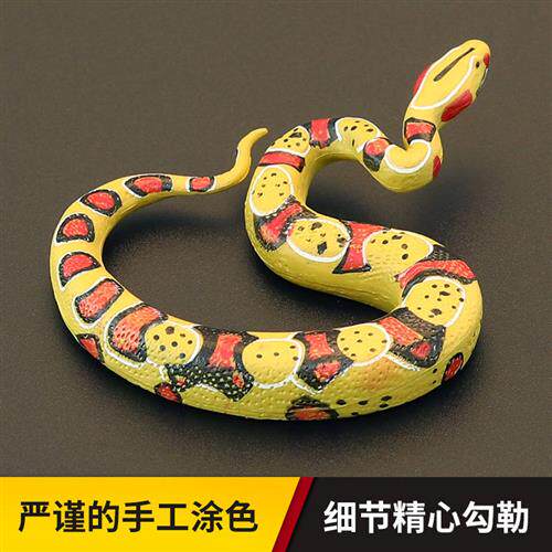 m实心儿尾仿真动物玩o具爬行动带模型套装 红童蚺 热物蝰蛇认知礼