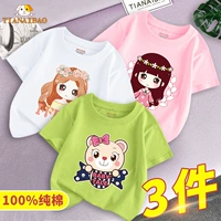 DT Fruit Green 046 Fairy Tale Cat+White 051 Rose Girl+Powder 055 Девушка из пшеничных ушей