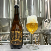 FEVER精酿啤酒赛博朋克古斯野菌酸啤寂静祷告2025波本桶大麦烈酒