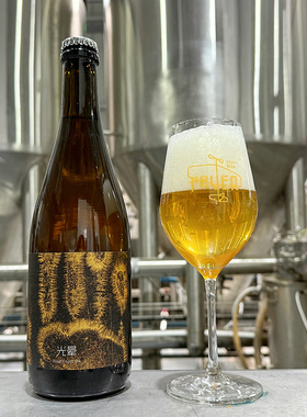 FEVER精酿啤酒赛博朋克古斯野菌酸啤寂静祷告2025波本桶大麦烈酒