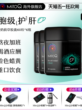 【6件囤货装】MitoQ官方奶蓟草护肝片胶囊加班熬夜肝脏进口保健品