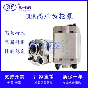 F5.8 F3.2 F6.8 F2.5 F1.6 F4.8 CBK F4.2 F2.1 齿轮泵CBK
